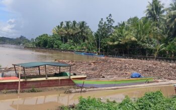 Debit Sungai Kayan Menurun, Potensi Banjir Besar di Tanjung Selor Masih Rendah